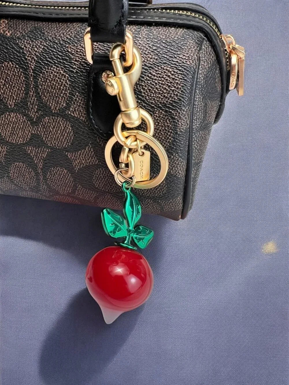 🌸Coach Red and Green Keychain